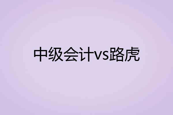 中级会计vs路虎