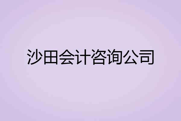 沙田会计咨询公司