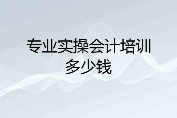 专业实操会计培训多少钱