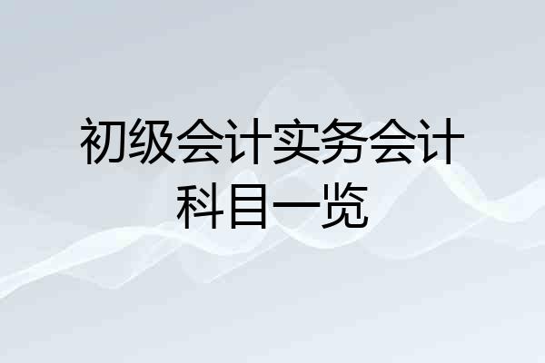 初级会计实务会计科目一览