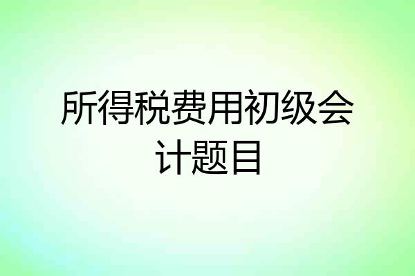 所得税费用初级会计题目