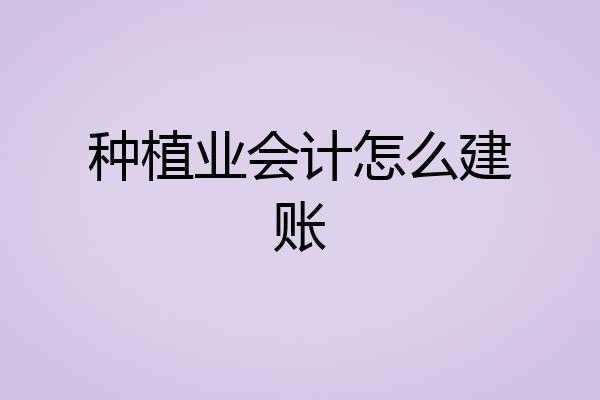 种植业会计怎么建账