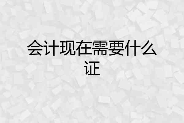 会计现在需要什么证