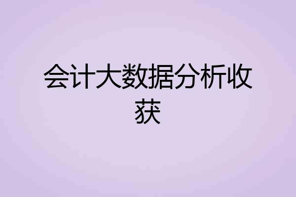 会计大数据分析收获