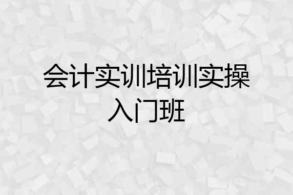 会计实训培训实操入门班