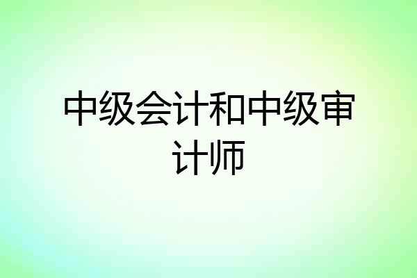 中级会计和中级审计师