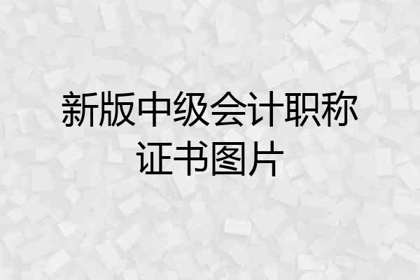 新版中级会计职称证书图片