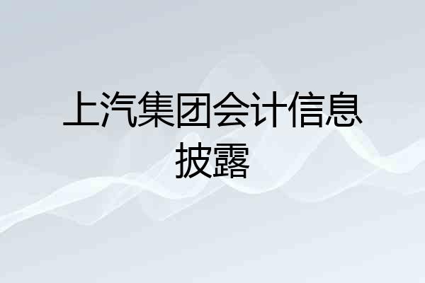 上汽集团会计信息披露