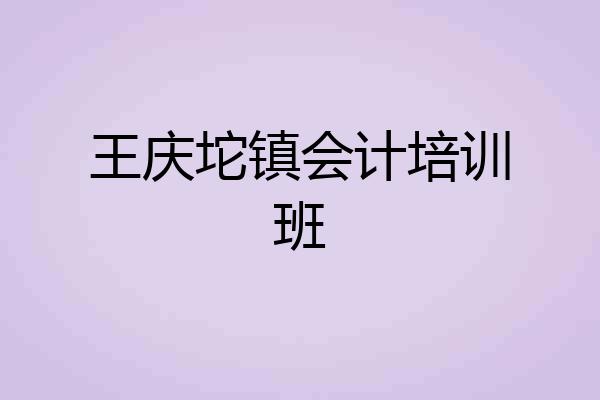 王庆坨镇会计培训班