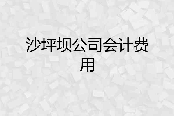 沙坪坝公司会计费用
