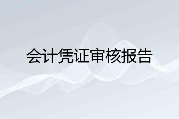 会计凭证审核报告