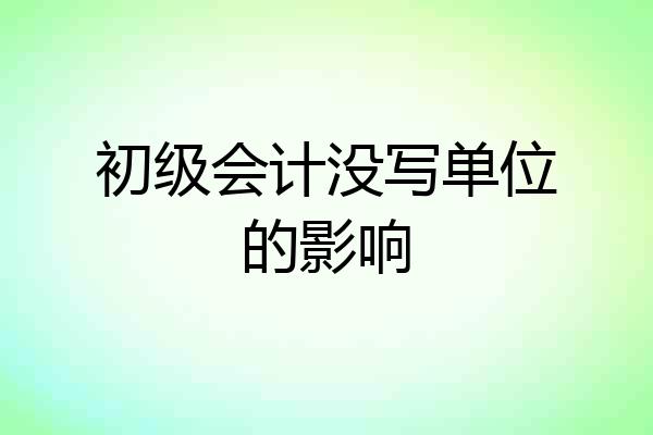 初级会计没写单位的影响