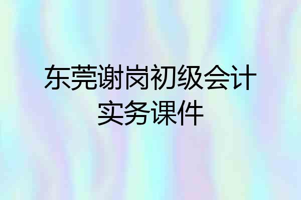 东莞谢岗初级会计实务课件