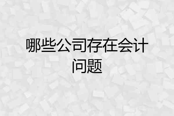 哪些公司存在会计问题
