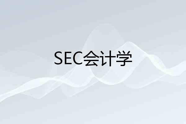 SEC会计学