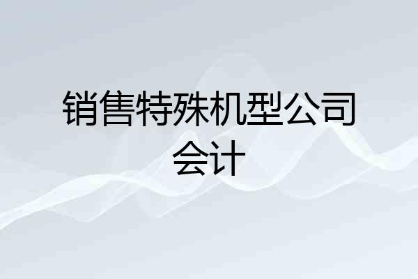 销售特殊机型公司会计