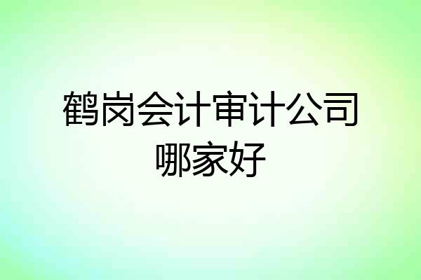 鹤岗会计审计公司哪家好