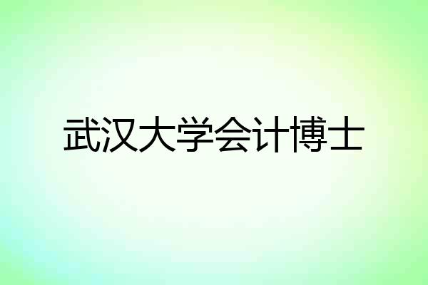 武汉大学会计博士