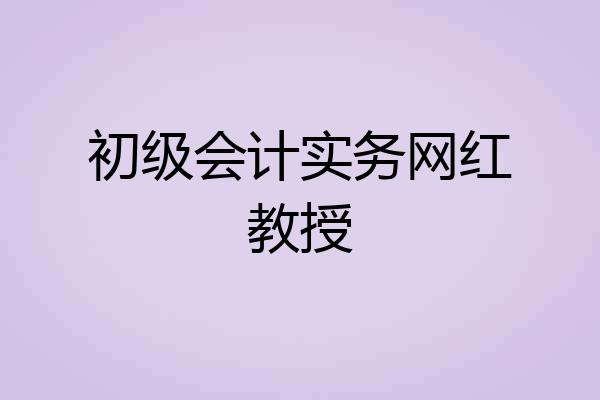初级会计实务网红教授