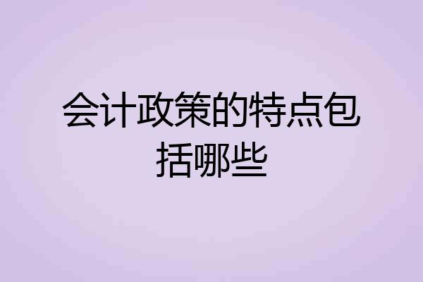 会计政策的特点包括哪些
