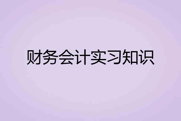 财务会计实习知识