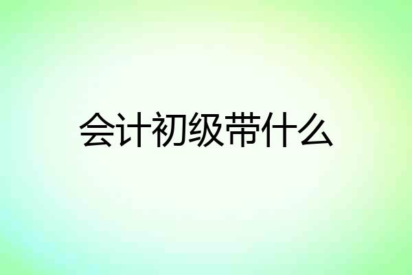会计初级带什么