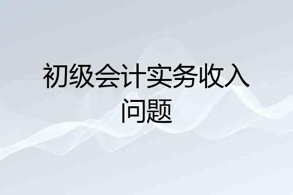 初级会计实务收入问题