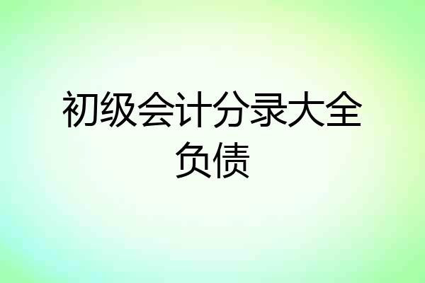 初级会计分录大全负债