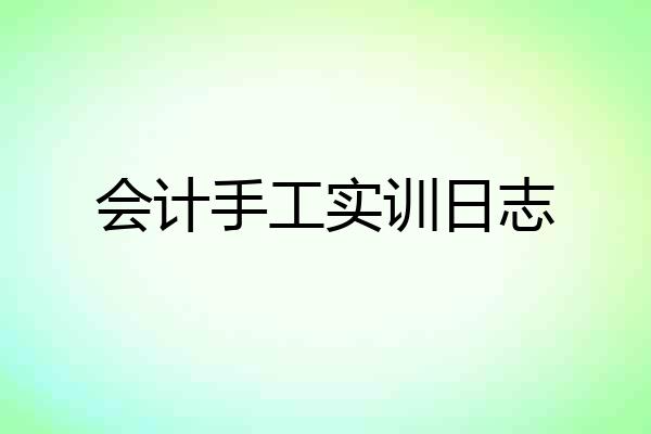 会计手工实训日志