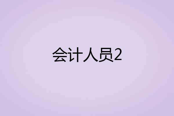 会计人员2