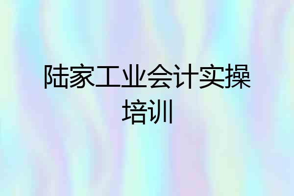 陆家工业会计实操培训