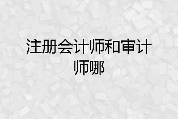 注册会计师和审计师哪