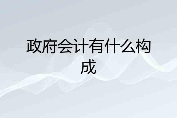 政府会计有什么构成