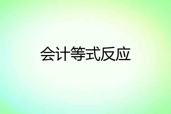 会计等式反应