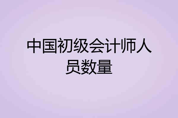 中国初级会计师人员数量