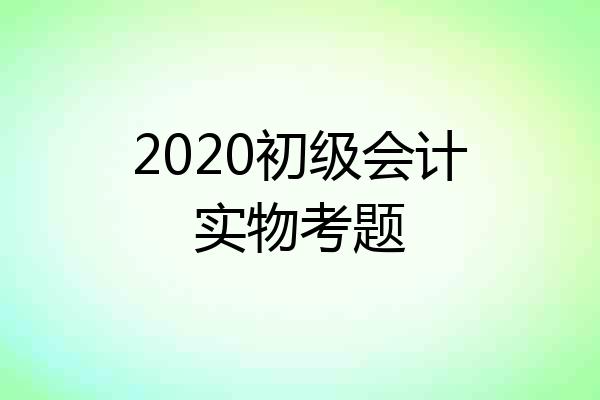 2020初级会计实物考题