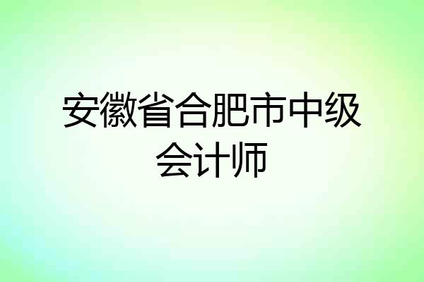 安徽省合肥市中级会计师