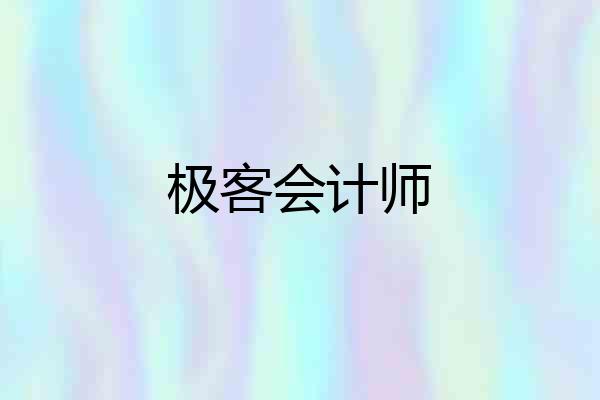 极客会计师