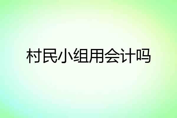 村民小组用会计吗