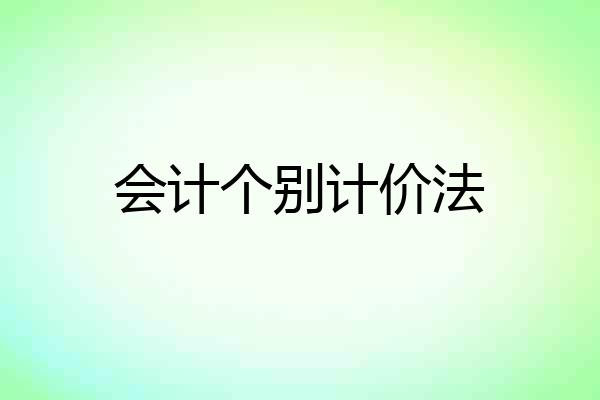 会计个别计价法