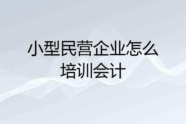 小型民营企业怎么培训会计