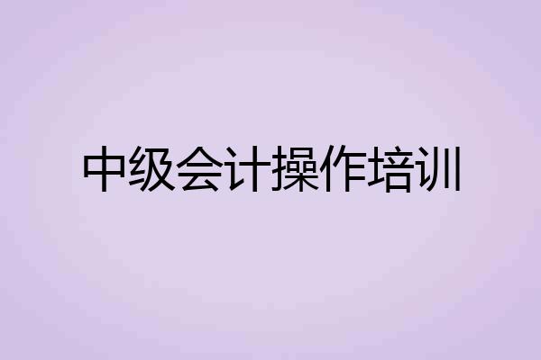 中级会计操作培训
