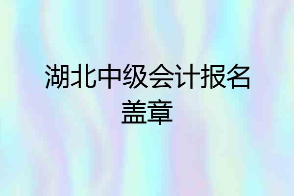 湖北中级会计报名盖章