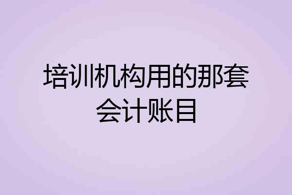 培训机构用的那套会计账目