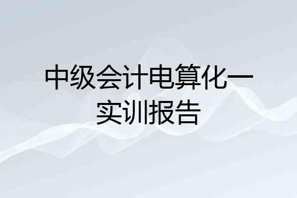 中级会计电算化一实训报告