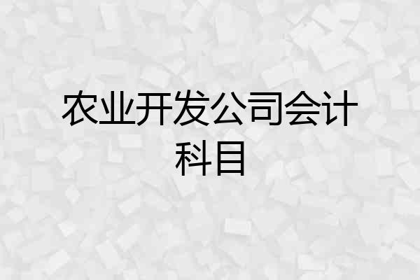 农业开发公司会计科目