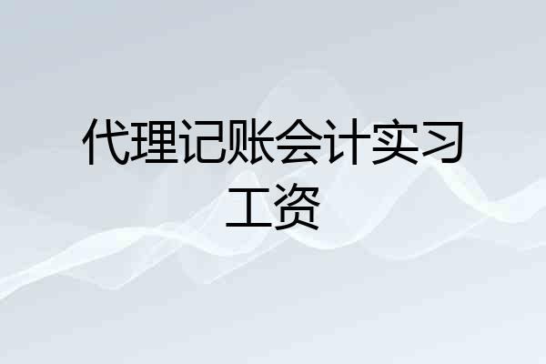 代理记账会计实习工资