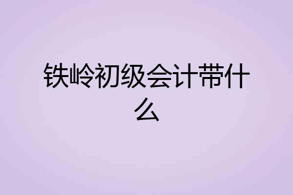 铁岭初级会计带什么