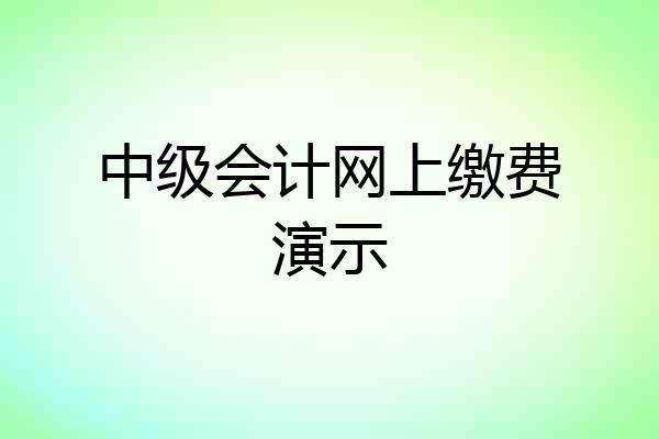 中级会计网上缴费演示