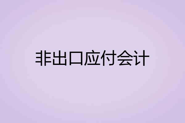 非出口应付会计